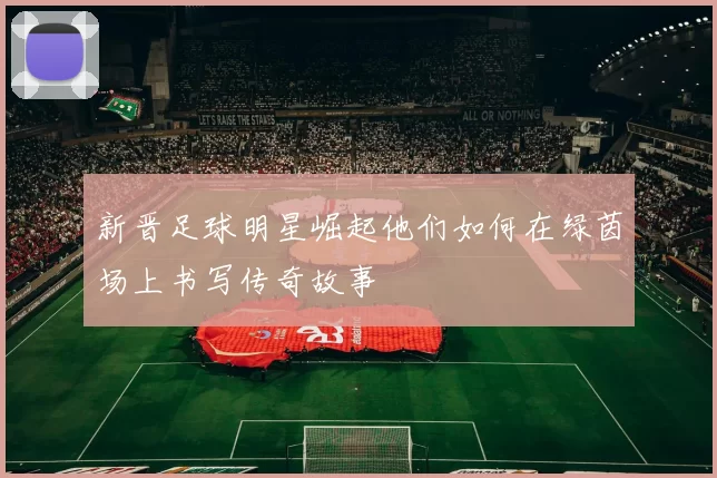 新晋足球明星崛起他们如何在绿茵场上书写传奇故事