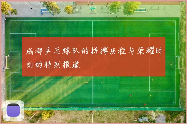 成都乒乓球队的拼搏历程与荣耀时刻的特别报道