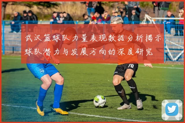 武汉篮球队力量表现数据分析揭示球队潜力与发展方向的深度研究
