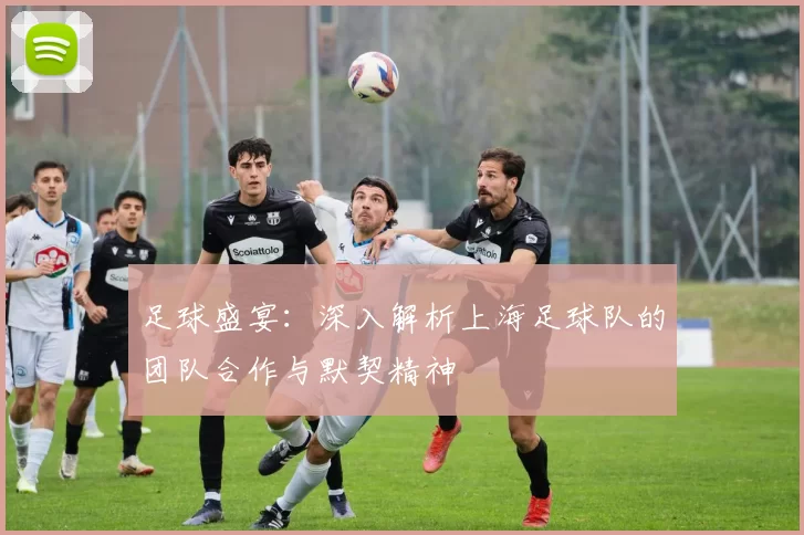 足球盛宴：深入解析上海足球队的团队合作与默契精神