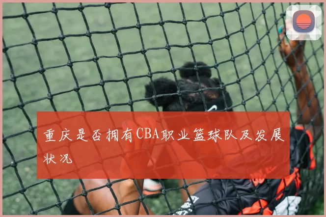 重庆是否拥有CBA职业篮球队及发展状况