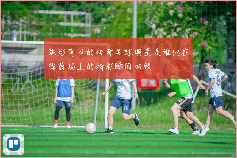 弧形弯刀的传奇足球明星是谁他在绿茵场上的精彩瞬间回顾