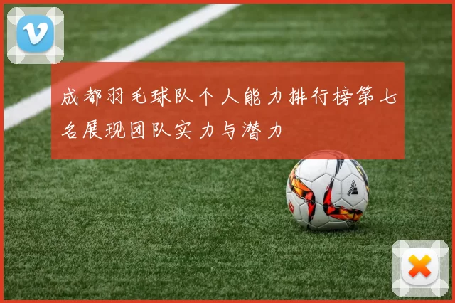 成都羽毛球队个人能力排行榜第七名展现团队实力与潜力