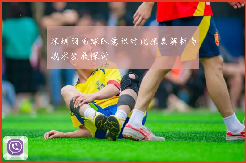 深圳羽毛球队意识对比深度解析与战术发展探讨