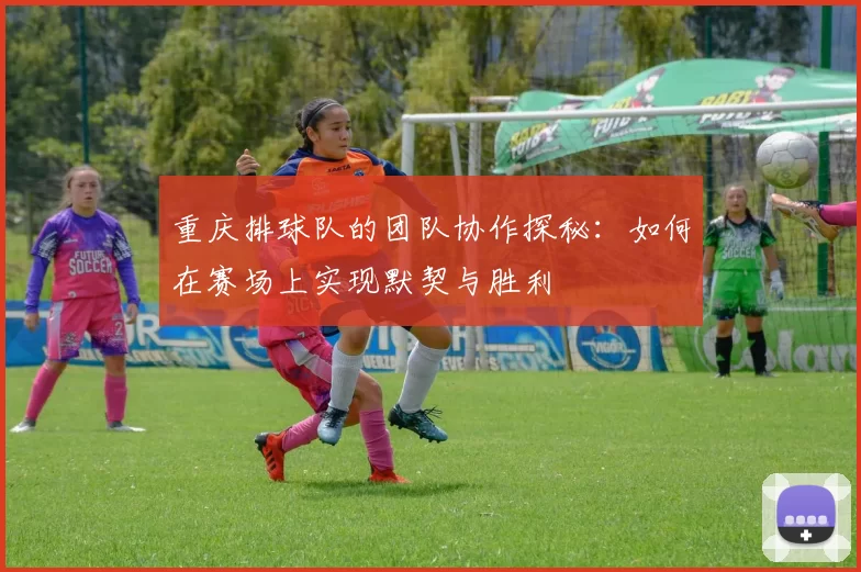 重庆排球队的团队协作探秘：如何在赛场上实现默契与胜利