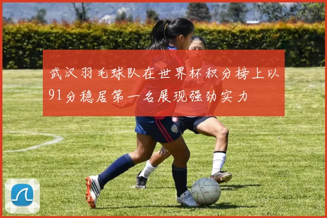 武汉羽毛球队在世界杯积分榜上以91分稳居第一名展现强劲实力