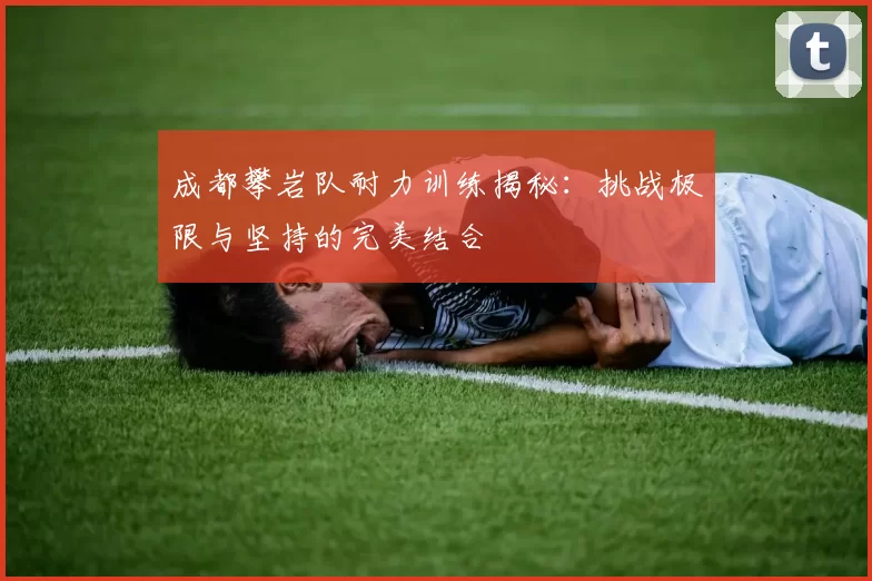 成都攀岩队耐力训练揭秘：挑战极限与坚持的完美结合