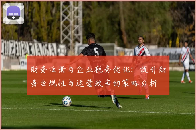 财务注册与企业税务优化：提升财务合规性与运营效率的策略分析