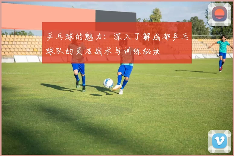 乒乓球的魅力：深入了解成都乒乓球队的灵活战术与训练秘诀