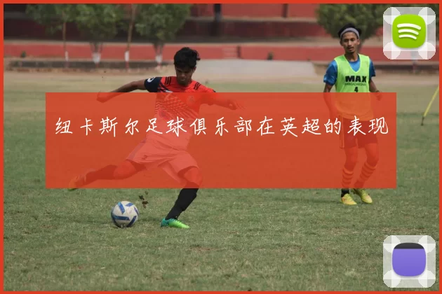 纽卡斯尔足球俱乐部在英超的表现