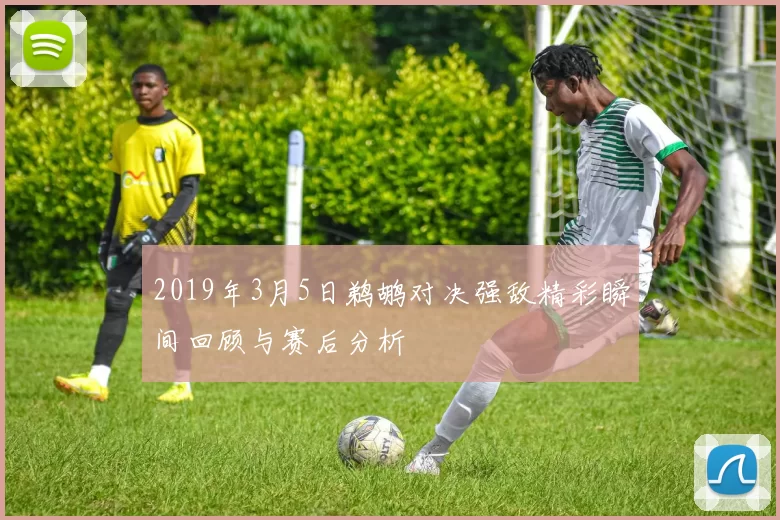 2019年3月5日鹈鹕对决强敌精彩瞬间回顾与赛后分析