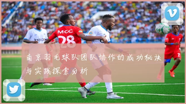 南京羽毛球队团队协作的成功秘诀与实践探索分析