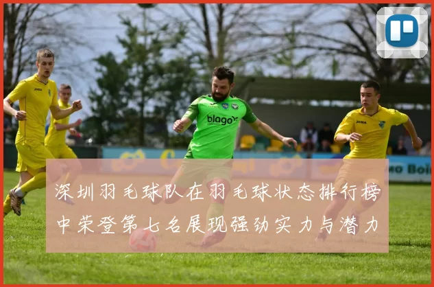 深圳羽毛球队在羽毛球状态排行榜中荣登第七名展现强劲实力与潜力