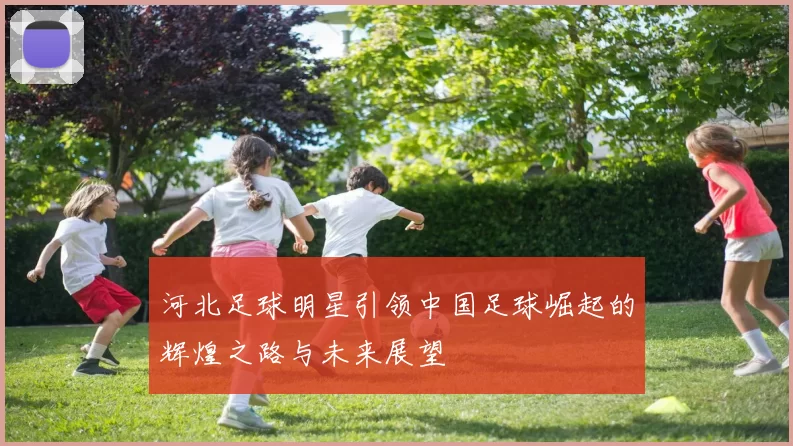 河北足球明星引领中国足球崛起的辉煌之路与未来展望