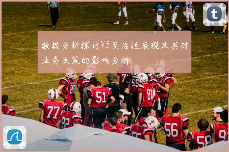 数据分析探讨V5灵活性表现及其对业务决策的影响分析