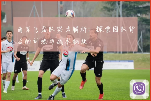 南京飞盘队实力解析：探索团队背后的训练与战术秘诀