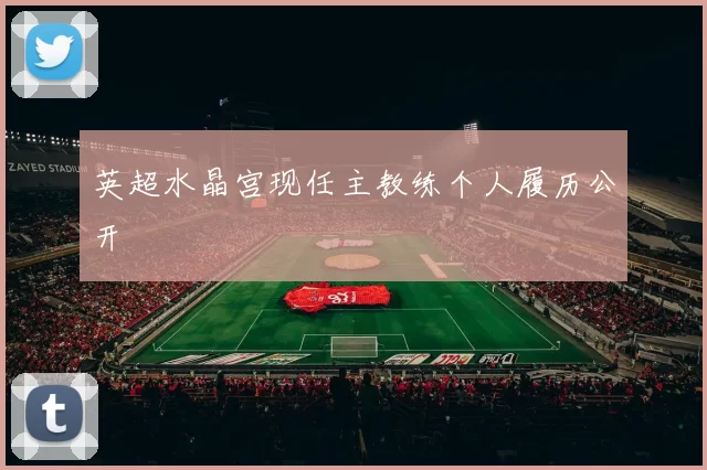 英超水晶宫现任主教练个人履历公开