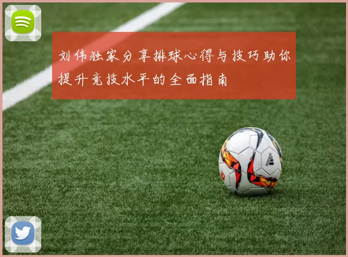 刘伟独家分享排球心得与技巧助你提升竞技水平的全面指南