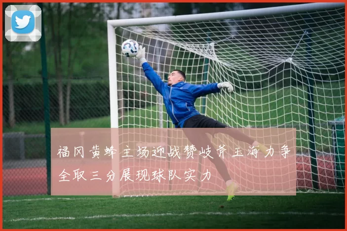 福冈黄蜂主场迎战赞岐斧玉海力争全取三分展现球队实力