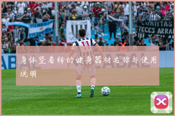 身体竖着转的健身器材名称与使用说明