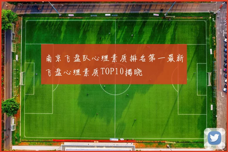 南京飞盘队心理素质排名第一最新飞盘心理素质TOP10揭晓