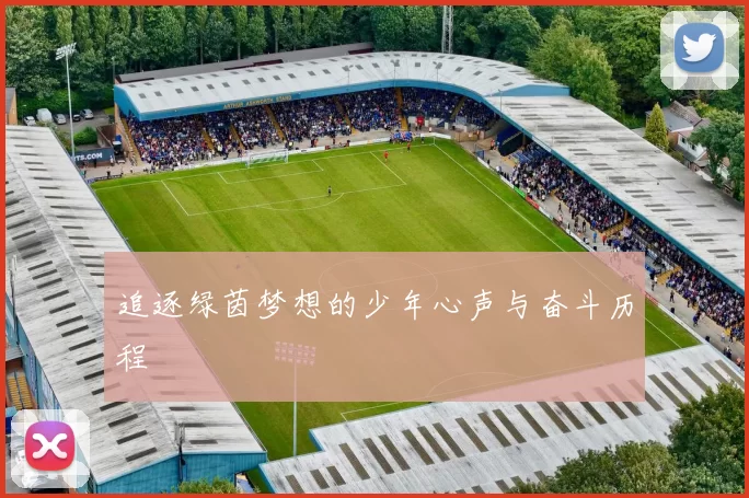 追逐绿茵梦想的少年心声与奋斗历程