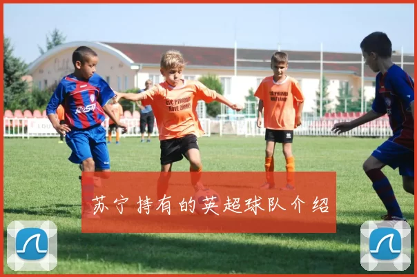 苏宁持有的英超球队介绍