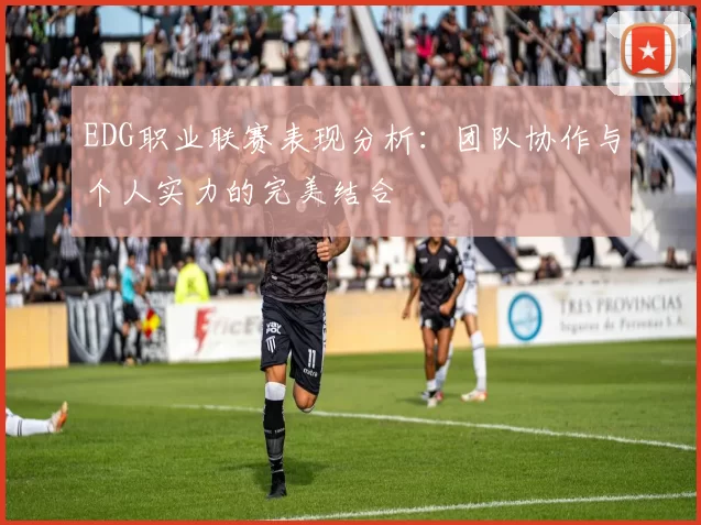 EDG职业联赛表现分析：团队协作与个人实力的完美结合