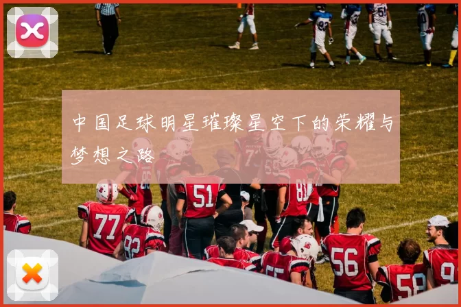 中国足球明星璀璨星空下的荣耀与梦想之路
